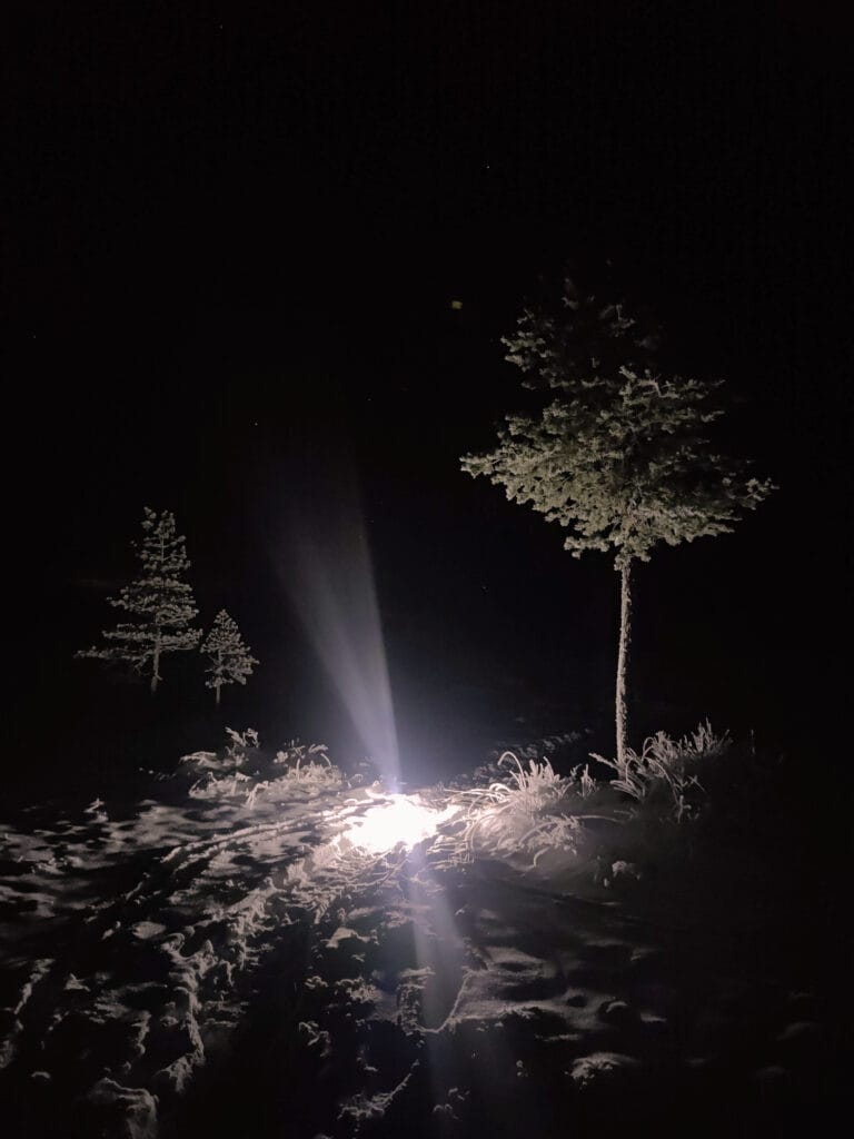 Exclusive Winter Hike and Authentic Sauna in Rovaniemi