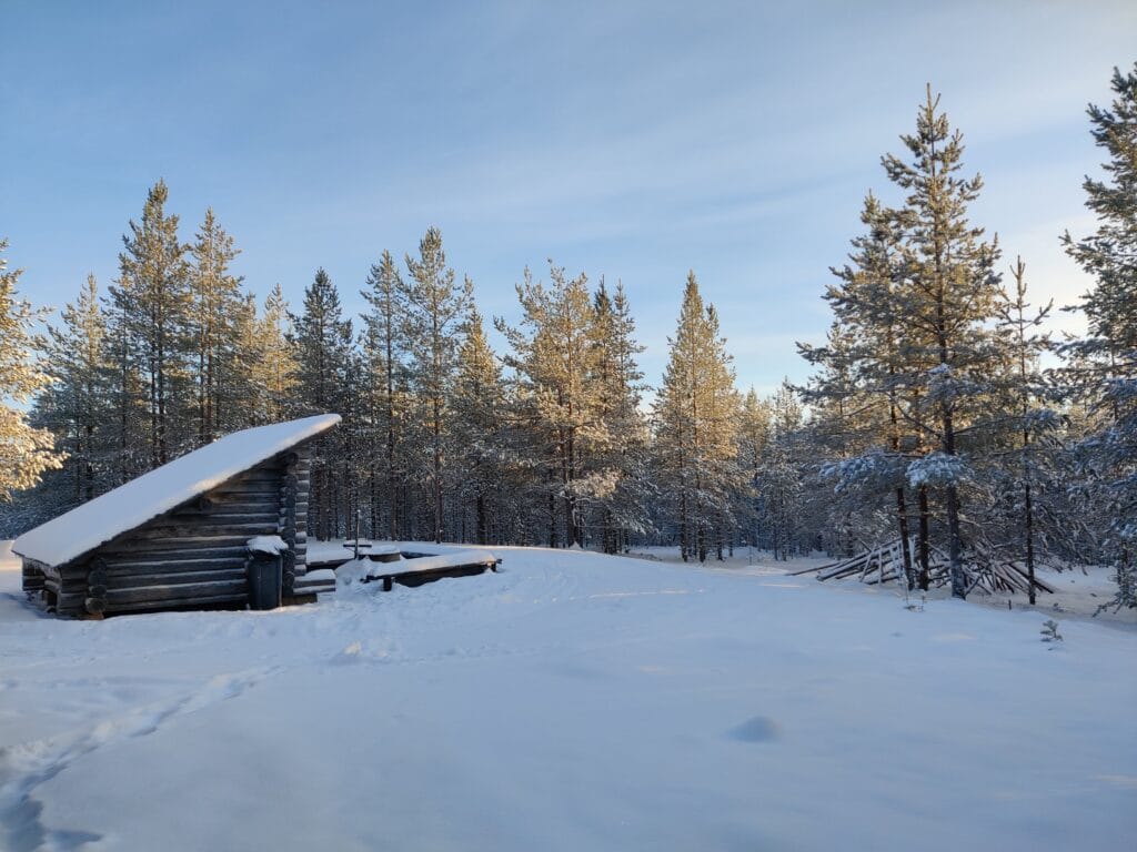 Rovaniemi Daylight Winter Hike – Magical Arctic Forest Adventure