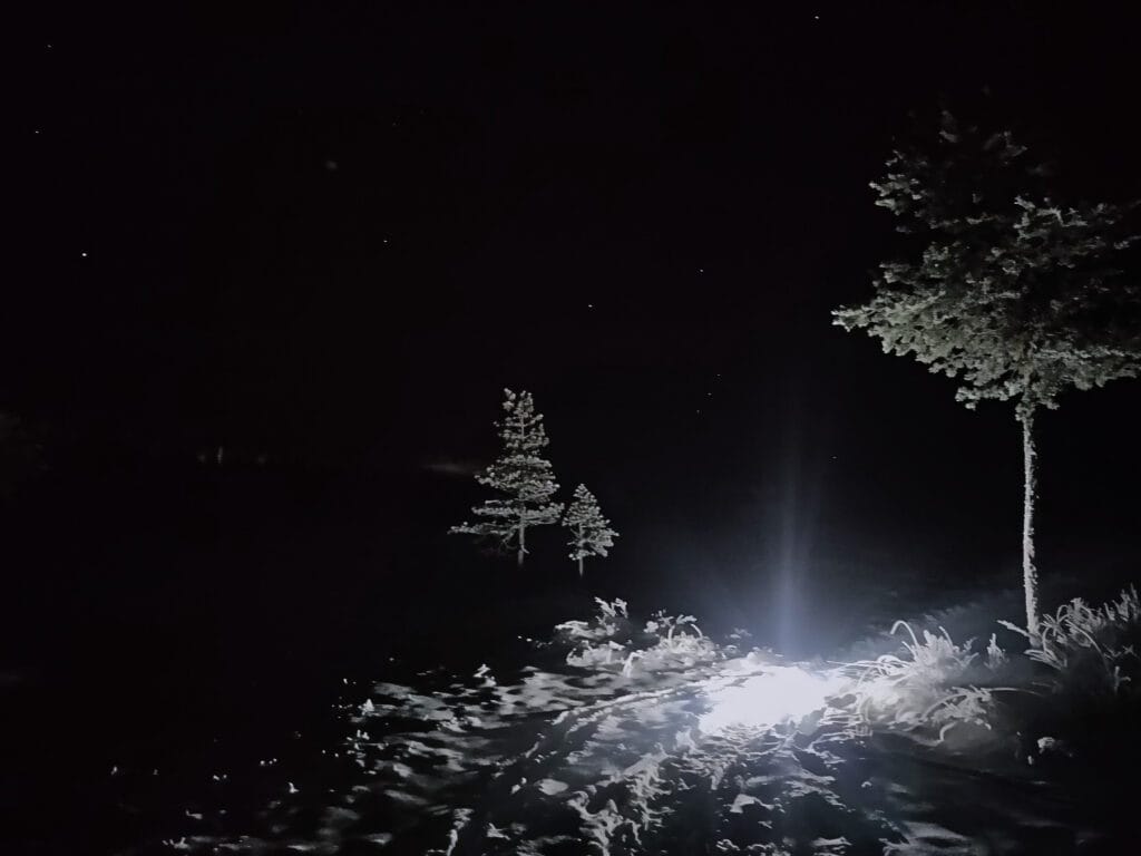 Rovaniemi Night-Time Winter Hike – Unforgettable Arctic Forest Adventure