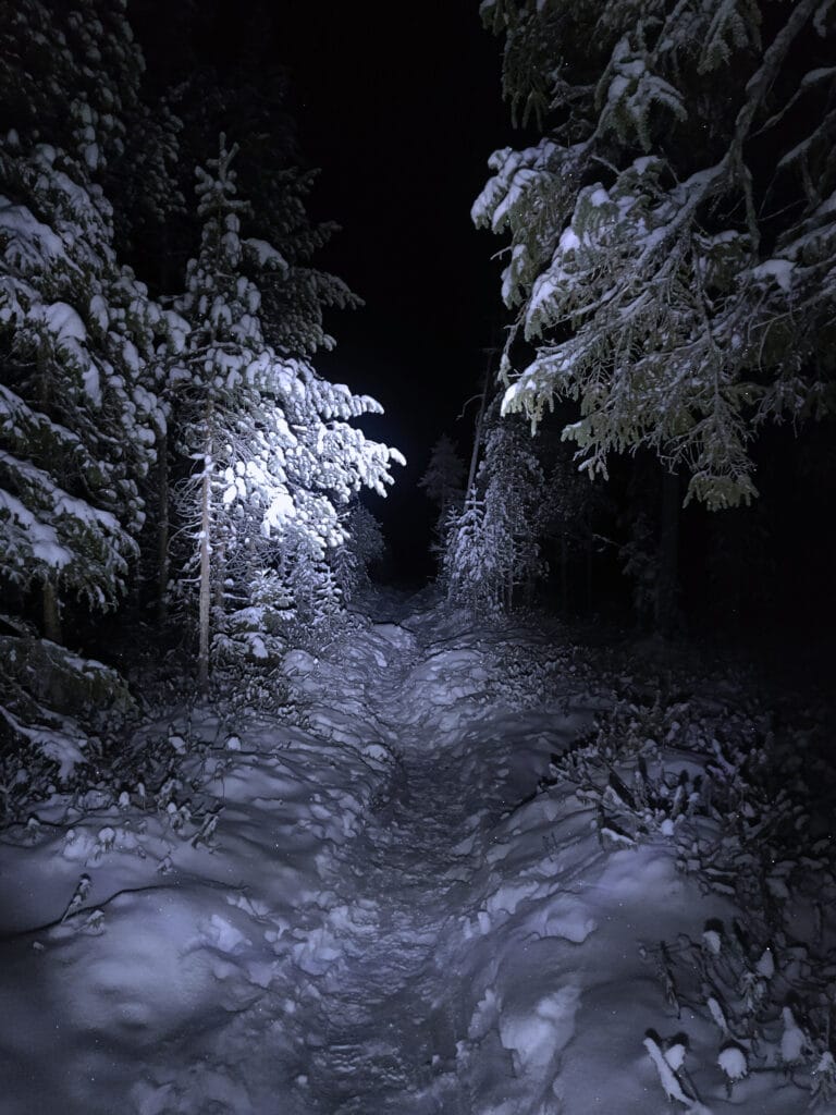 Night-time winter hike in Rovaniemi with a guide walking through a snowy forest under the Arctic sky and glowing Northern Lights.