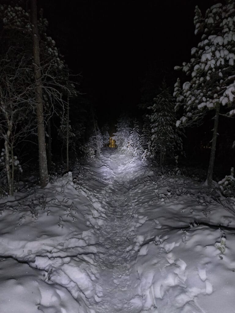 Rovaniemi Night-Time Winter Hike – Unforgettable Arctic Forest Adventure