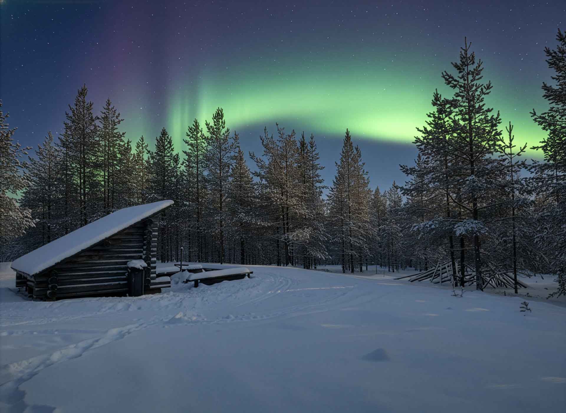 woodland-tours-aurora-northern-lights